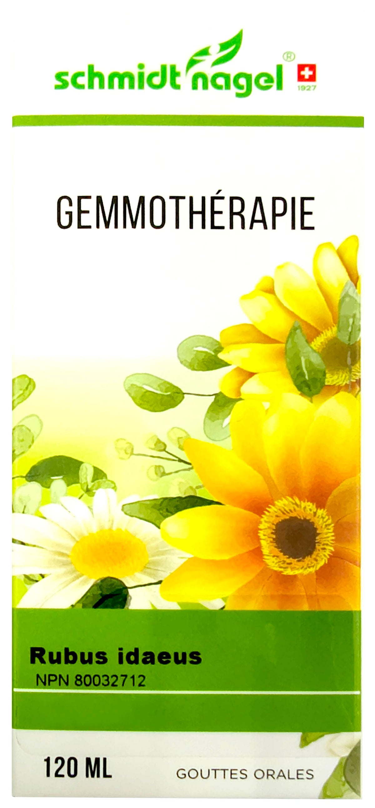 HOMEODEL Suppléments M.G. Rubus idaeus 120ml
