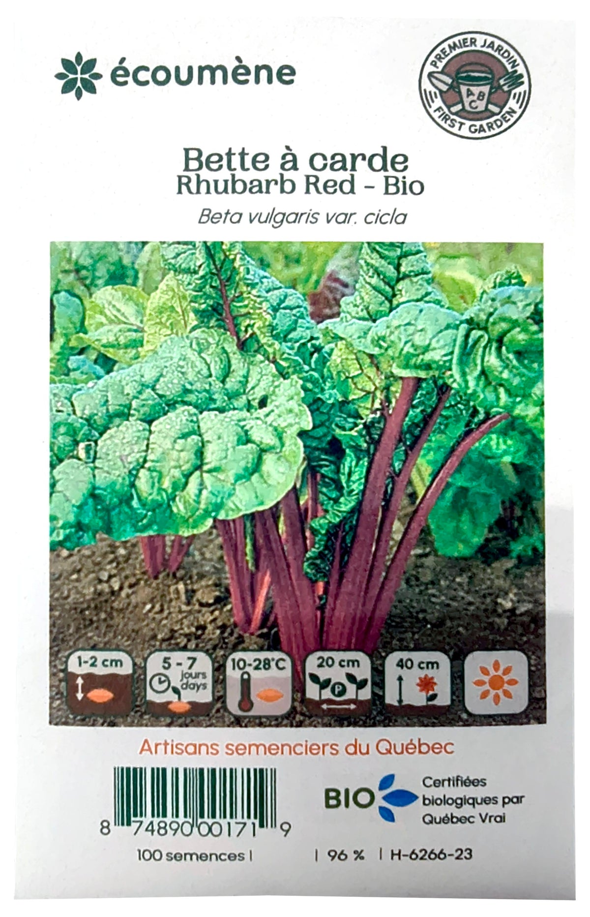 L'ÉCOUMÈNE Épicerie Semence Bette à carde rhubarb red bio (un)