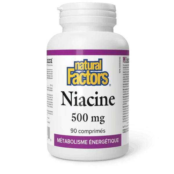 NATURAL FACTORS Suppléments Niacine (500mg) 90comp